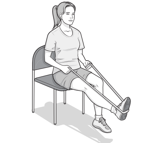 leg press exercise