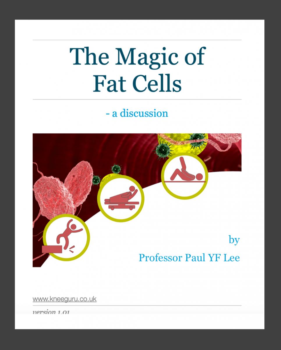 ebook on the magic of fat cells