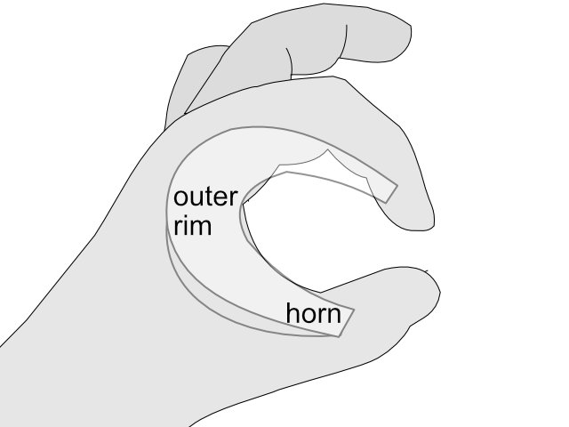 fingers explaining shape of lateral meniscus